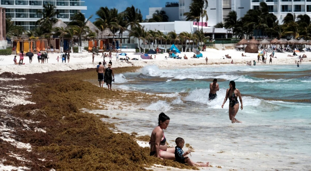 Playas de Cancún con Algas