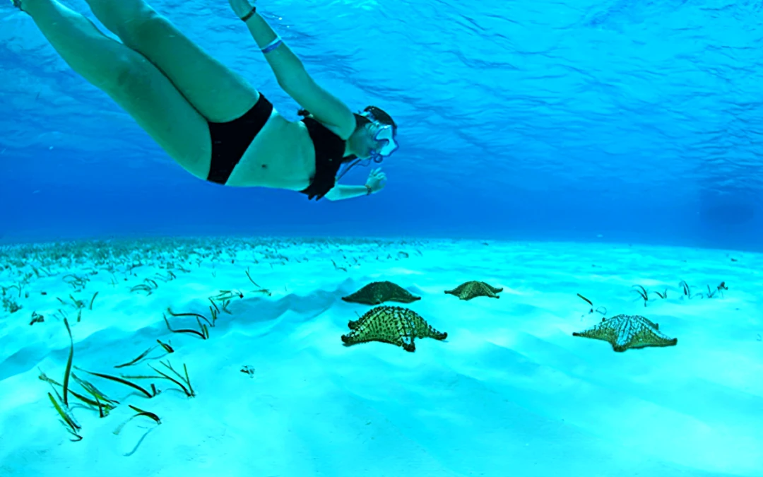 Cozumel