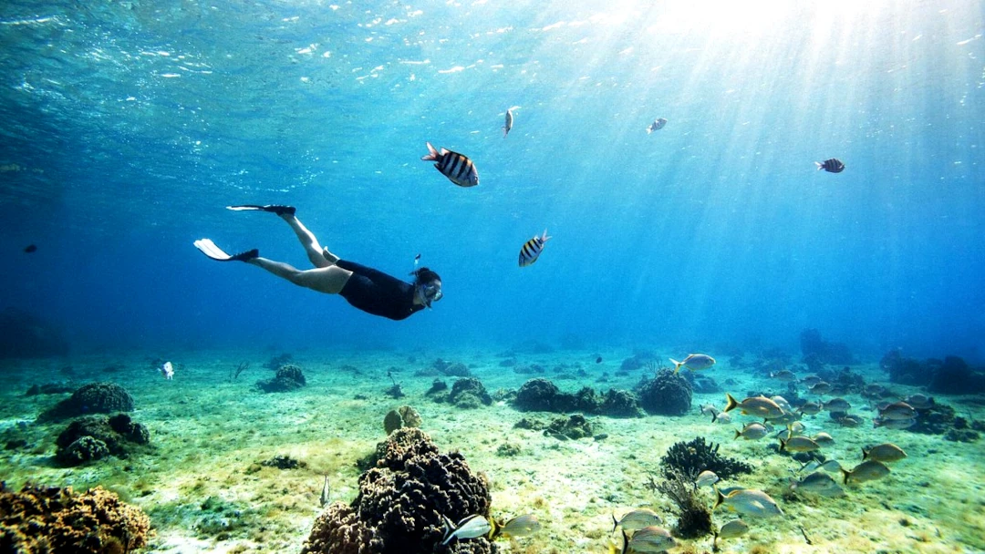 Excursiones a Cozumel