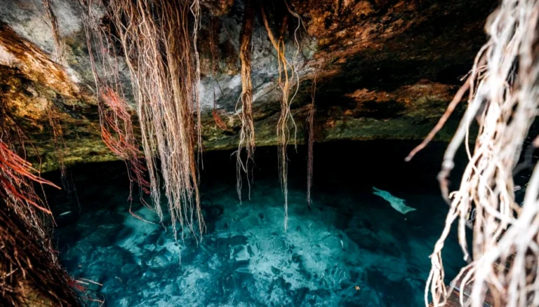 Gran Cenote de Tulum