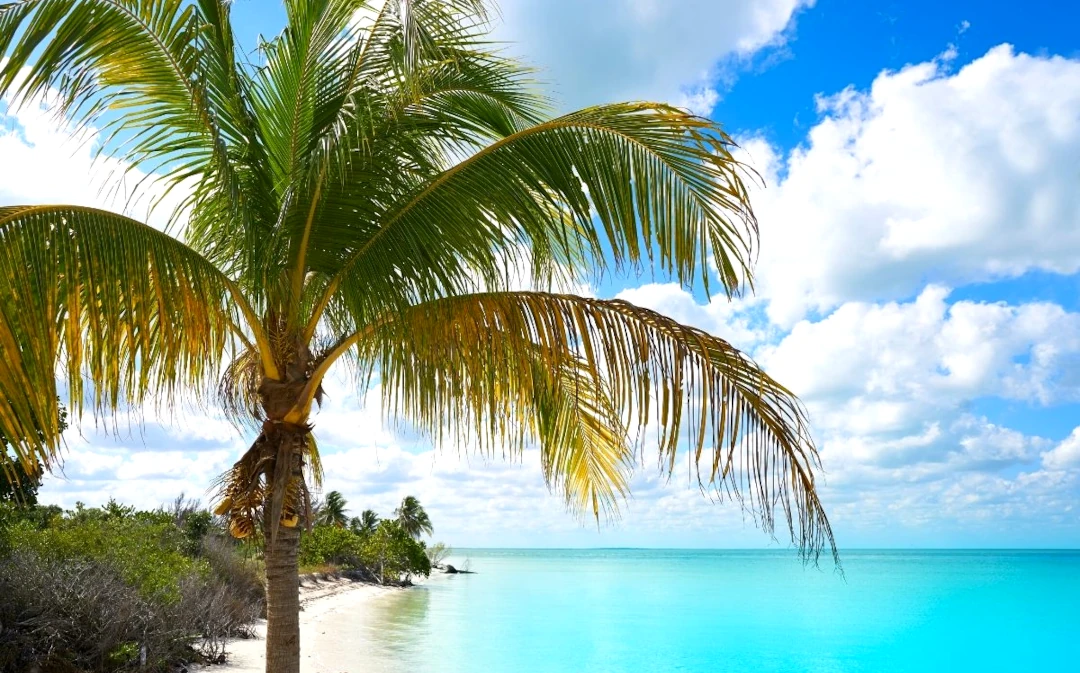 Excursiones a Holbox