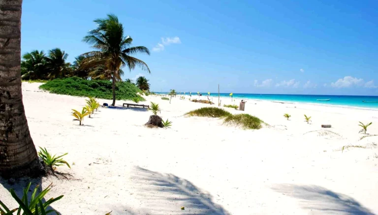 Playa Paraíso en Tulum