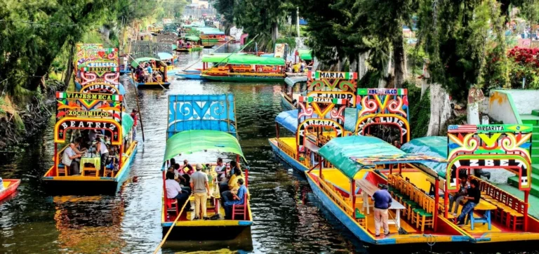 Tour trajineras de xochimilco